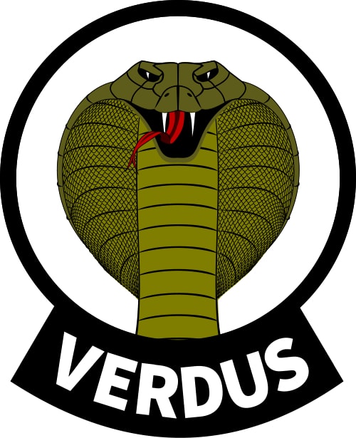 Verdus team logo illustration full colour vector