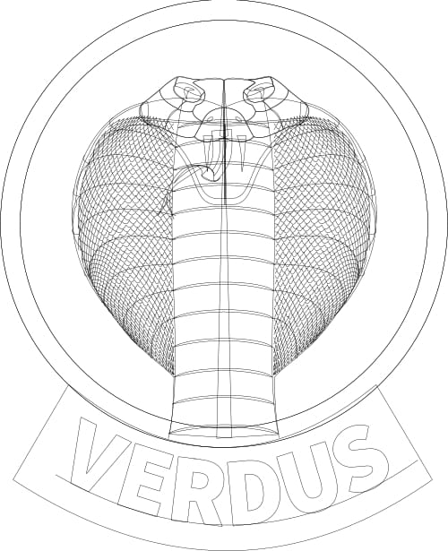 Verdus team logo illustration wireframe