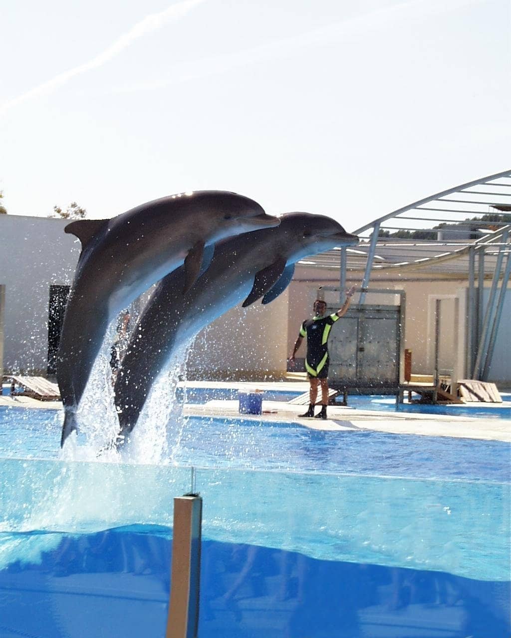 Dolphin leap image after removal of man and boy