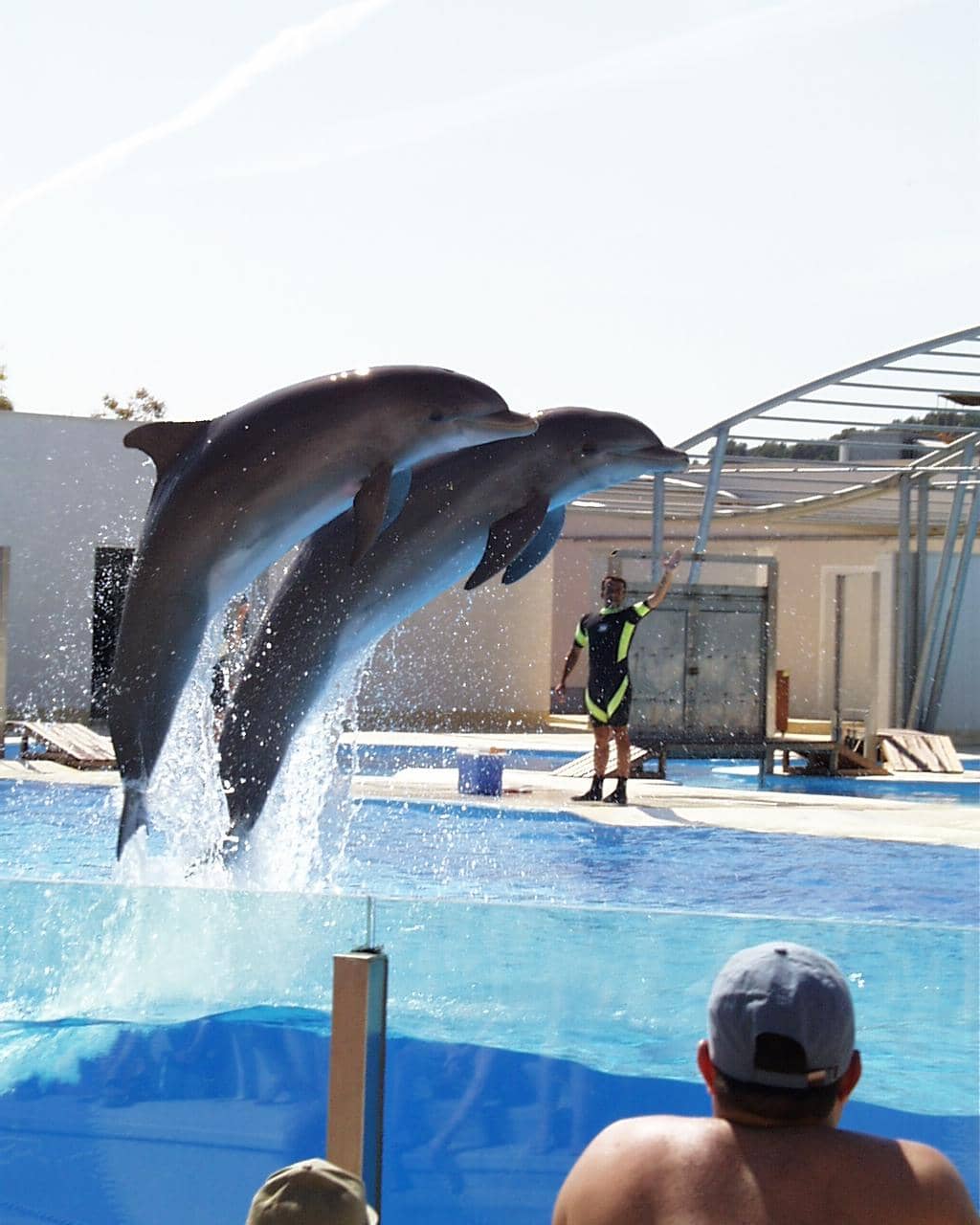 Dolphin leap image before removal of man and boy